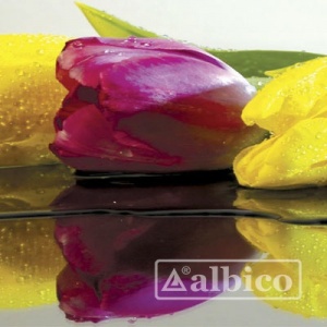 Кухонный фартук Albico SP-029 2800*610*6